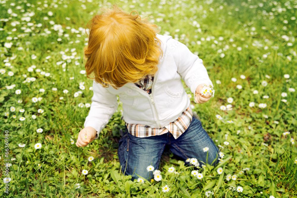 Fototapeta premium Picking flowers