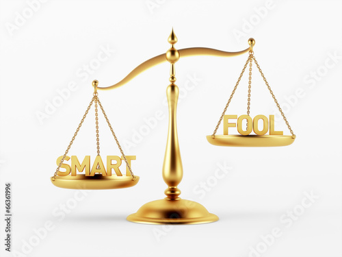 Smart and Fool Justice Scale Concept