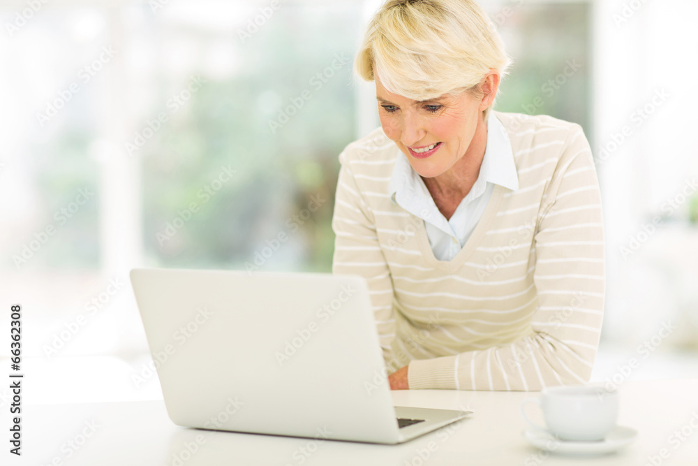 mid age woman using laptop computer mid age woman using laptop computer