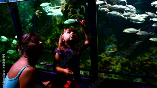 Little girl and his mother look through glass at aquairum photo