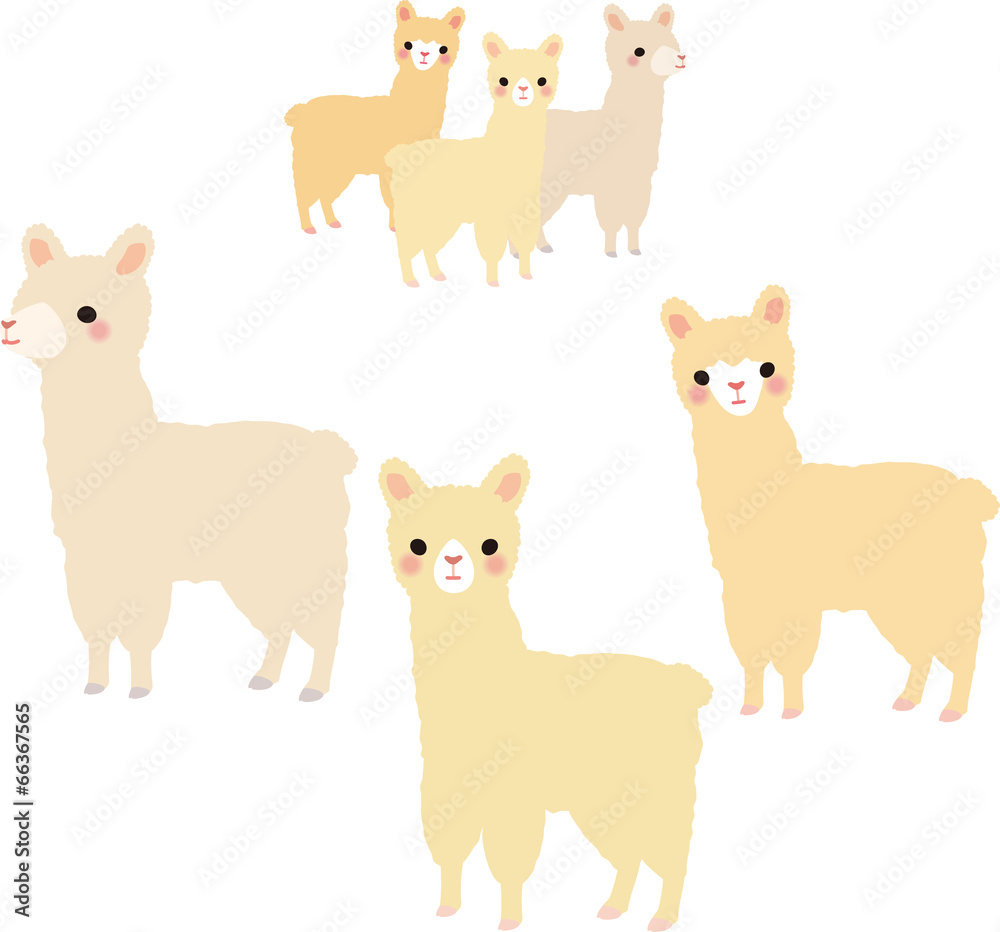 アルパカたち アルパカたち