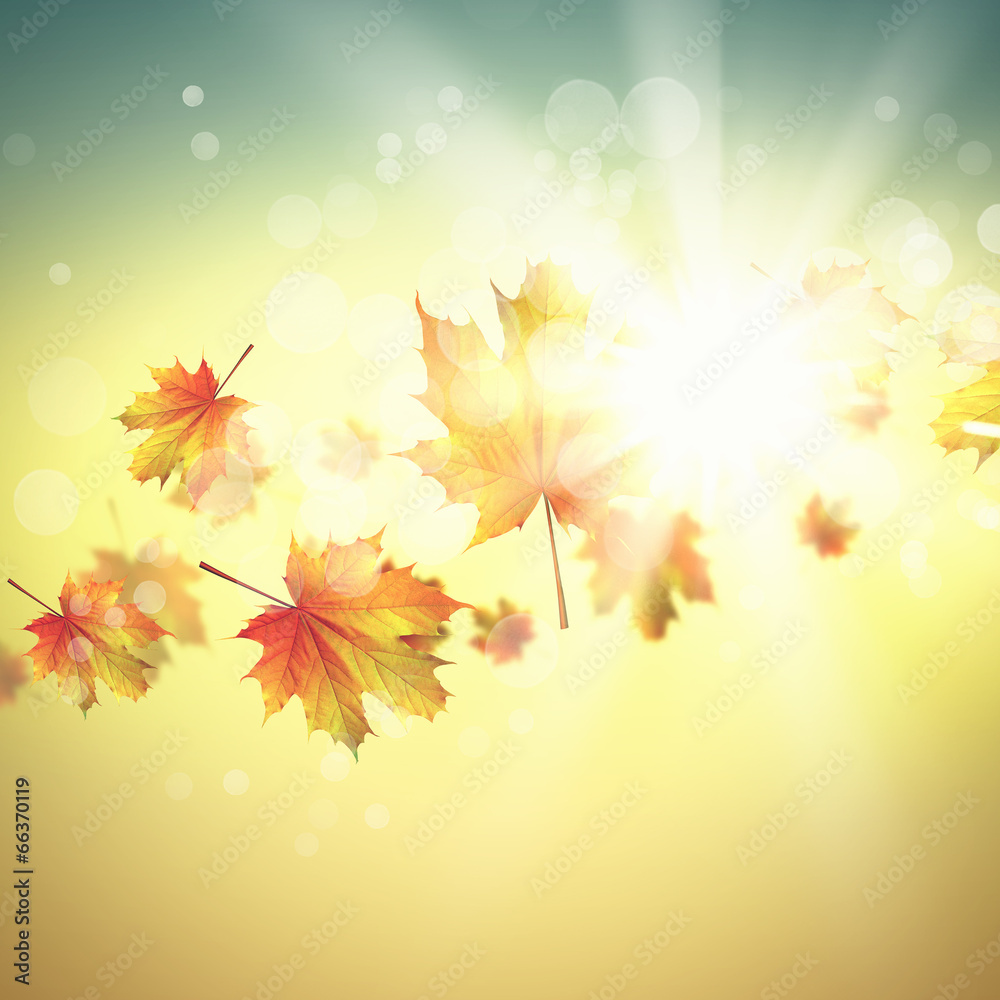 Autumn background