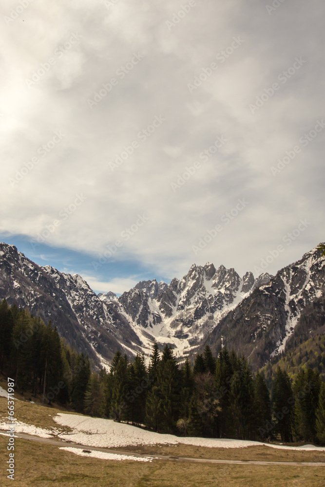 last snow in the clearing