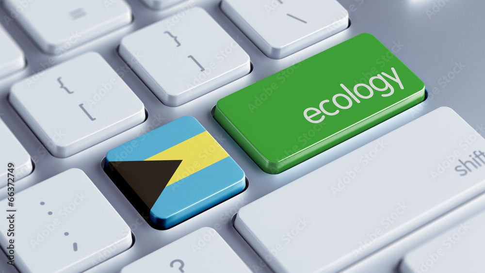 Fototapeta premium Bahamas. Ecology Concept