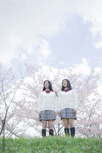 桜をバックに立つ高校生 © milatas