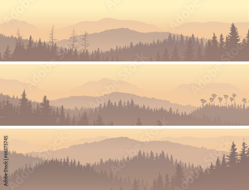 Banners of wild coniferous wood in morning fog.