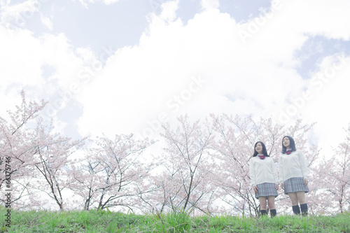 桜をバックに立つ高校生 © milatas