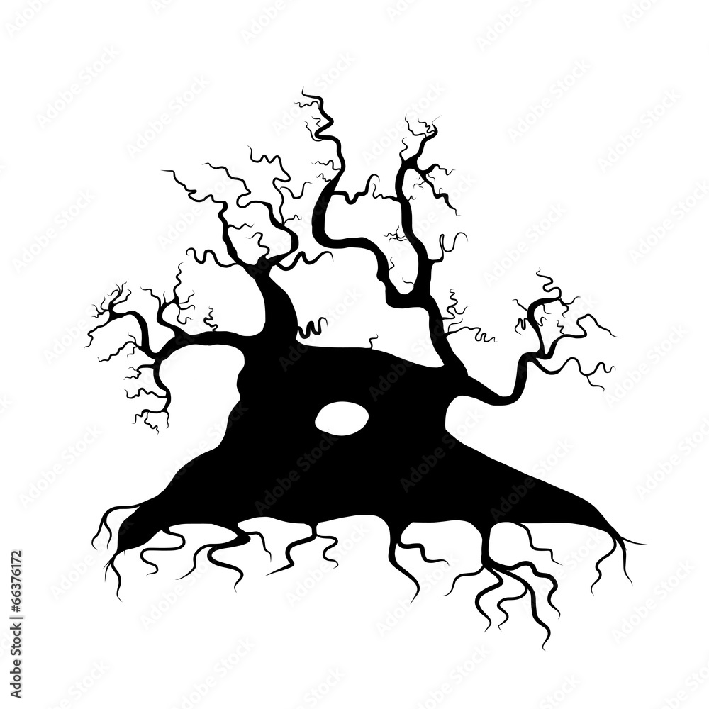 Old tree bare, silhouette for your design Old tree bare, silhouette for your design