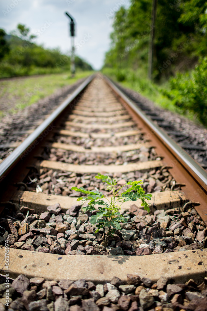 Small plant grow up between the railway Small plant grow up between the railway
