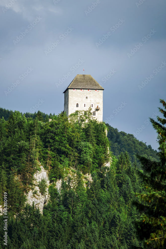 Old medieval castle Gallenstein in Austria