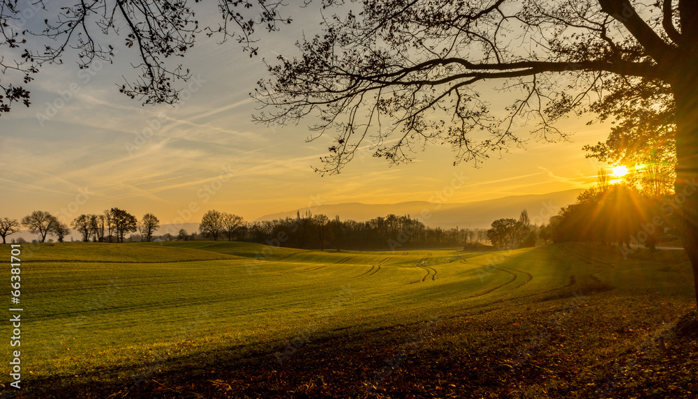 Fototapeta premium Coucher de Soleil Campagne Genevoise