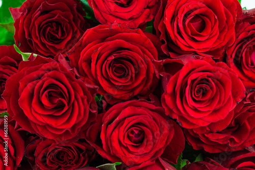 bouquet of red roses as a background