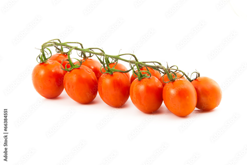 red cherry tomatoes on a branch red cherry tomatoes on a branch