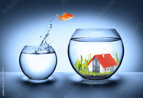 fish find house - real estate concept