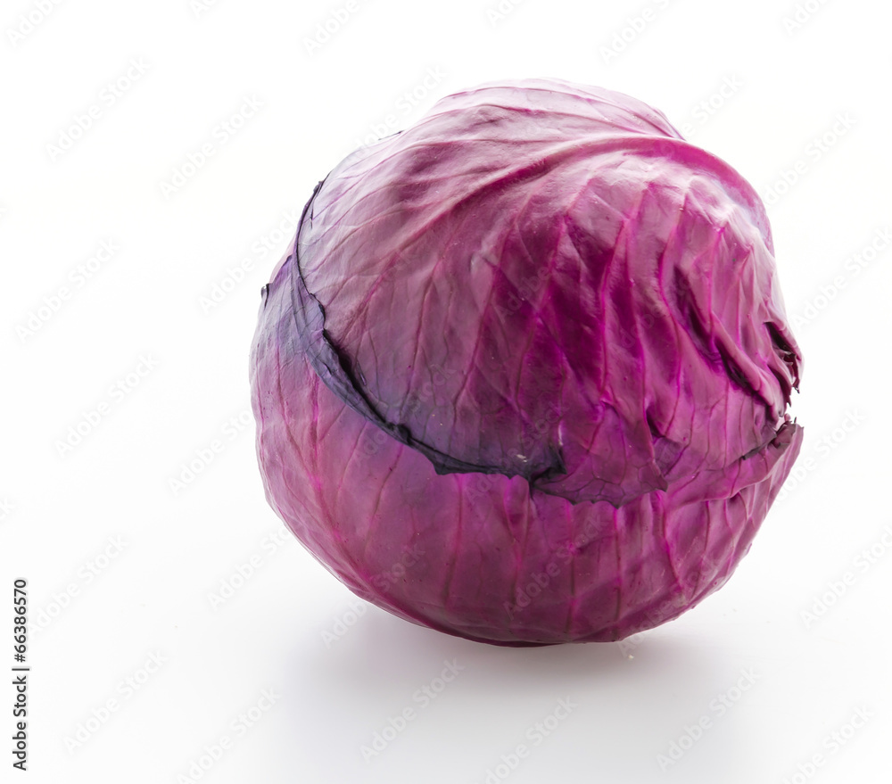 Cabbage isolated on white