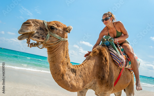 Pretty Young Woman Sitting on a Camel