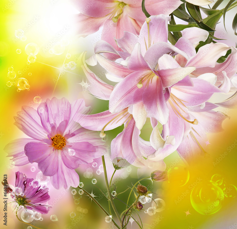 Garden Beautiful Flowers.Floral background