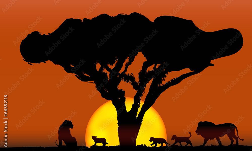 Fototapeta premium lions family