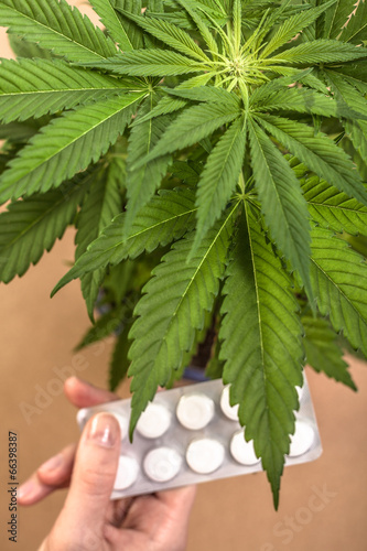 Cannabis and medicine