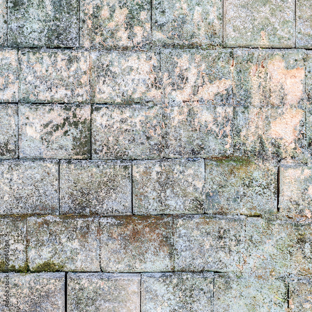 Fototapeta premium Old brick wall