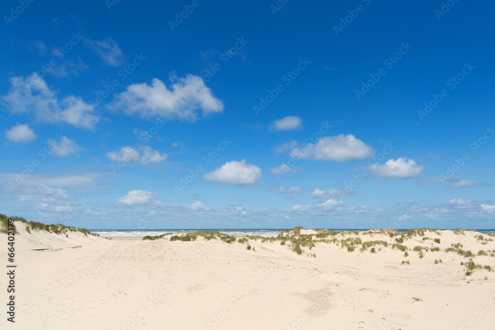 Dunes and beach