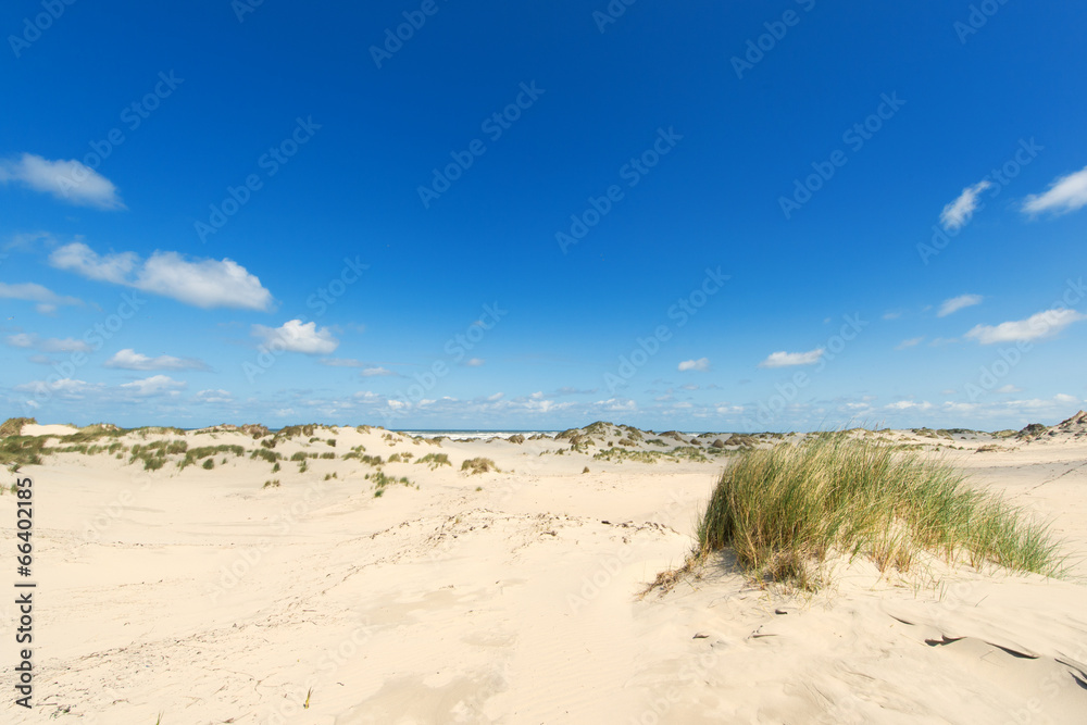 Dunes and beach