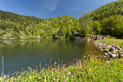 Fototapeta Naklejka Na Ścianę i Meble -  Lac de montagne et forêt