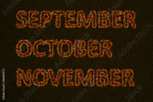 Autumn