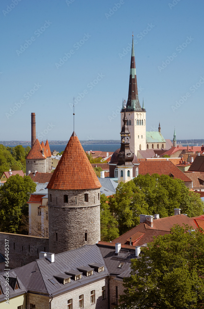 Fototapeta premium Old Town Tallinn