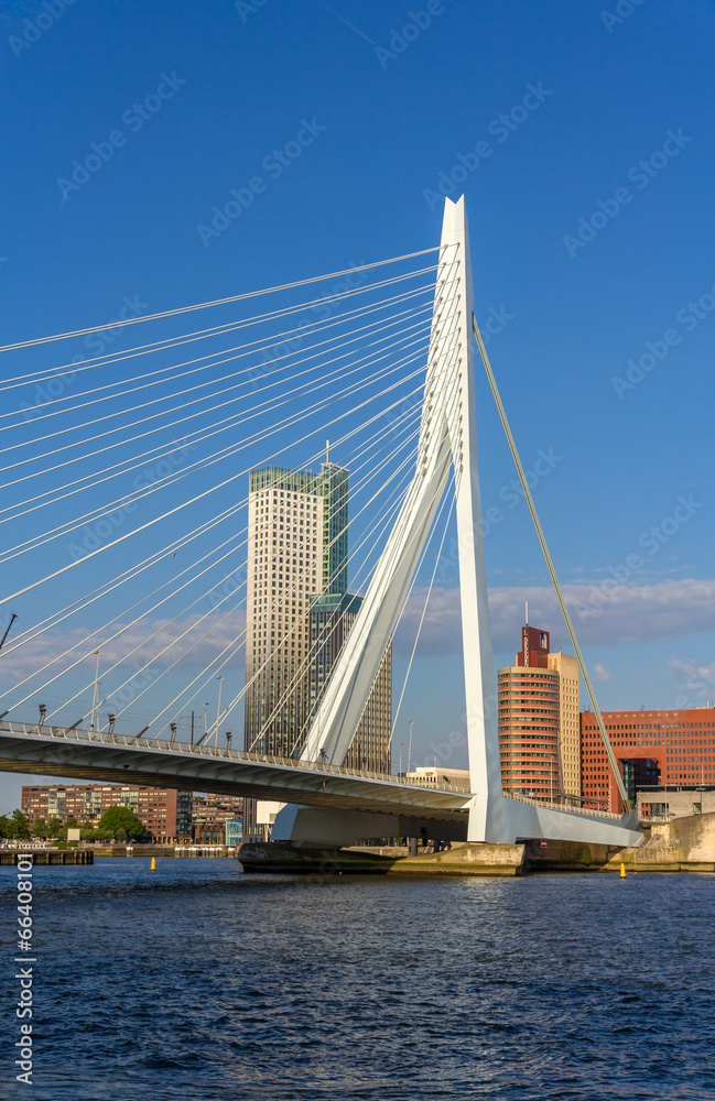 View of Erasmus Bridge in Rotterdam, Netherlands