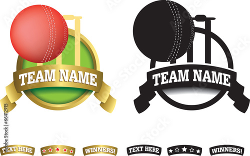 Badge, symbol or icon on white for cricket