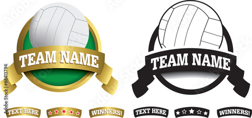 Badge, symbol or icon on white for volleyball