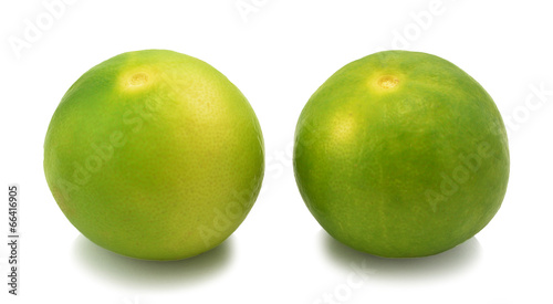 Fresh limes Isolated on white background