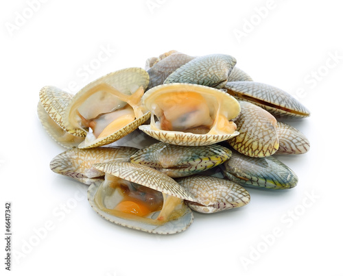 shellfish photo