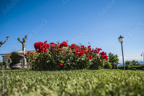 Fiori al bioparco