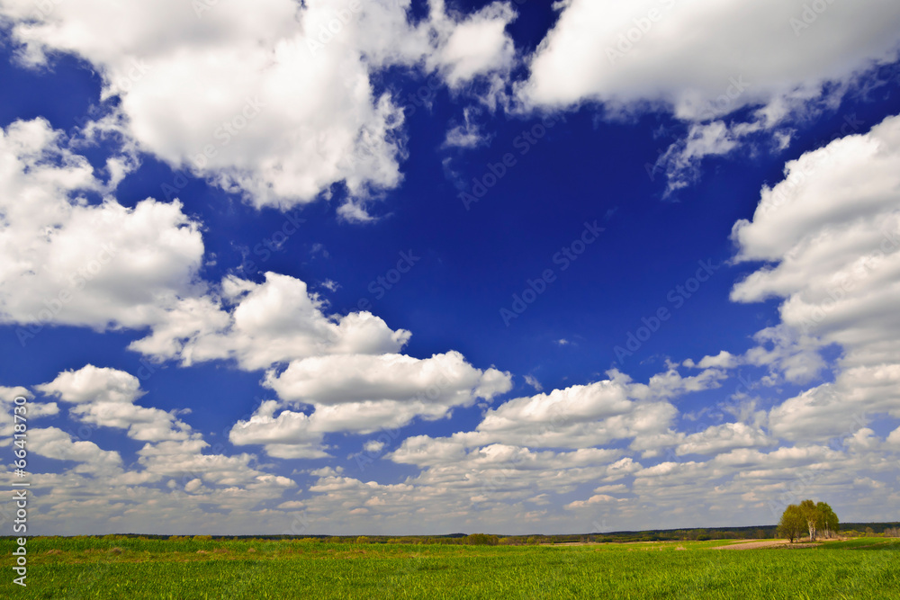 Fototapeta premium Piękny wiejski krajobraz z białymi chmurami na niebie
