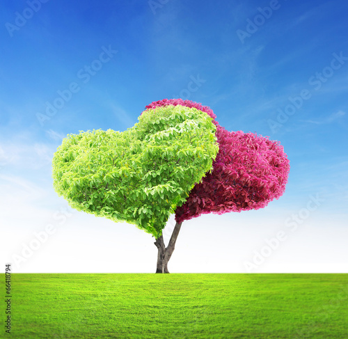 Tree in shape of heart