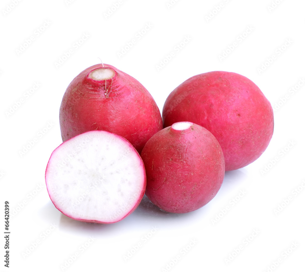 radishes isolated on white background radishes isolated on white background