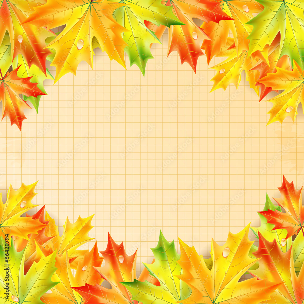 Autumn maple leaves on a background of notebook sheet with place Autumn maple leaves on a background of notebook sheet with place