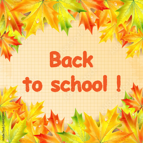 Autumn banner school with  leaves of  maple