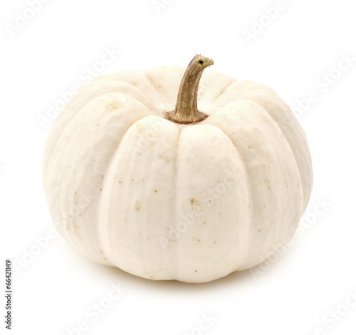 White autumn pumpkin isolated on a white background