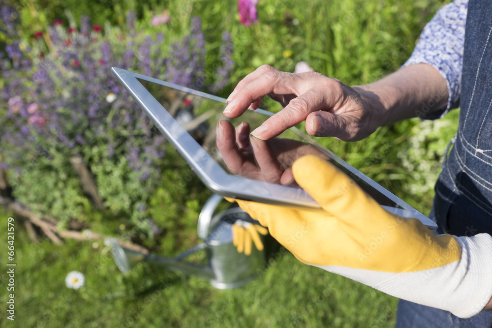 Gardening woman senior using a digital tablet computer in garden Gardening woman senior using a digital tablet computer in garden