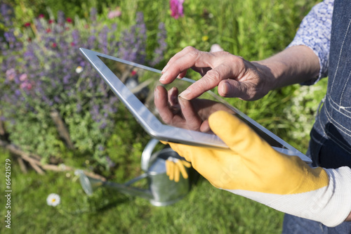 Gardening woman senior using a digital tablet computer in garden