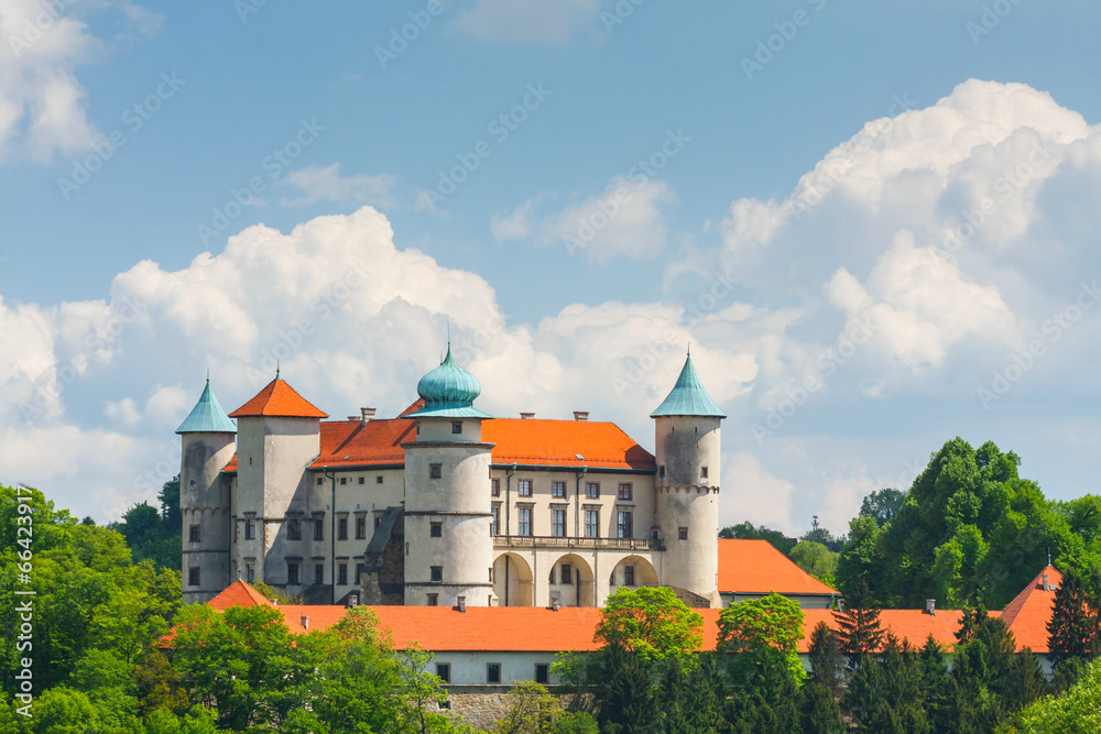 Fototapeta premium View of Nowy Wisnicz castle, Poland