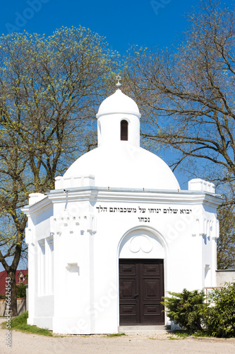 Jewish Cemetery, Podivin, Czech Republic photo