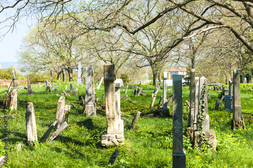 Jewish Cemetery, Podivin, Czech Republic photo