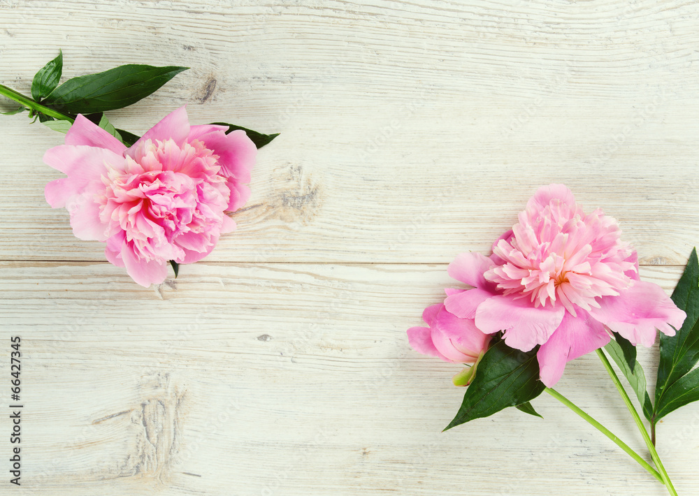 peony flowers on wooden surface peony flowers on wooden surface