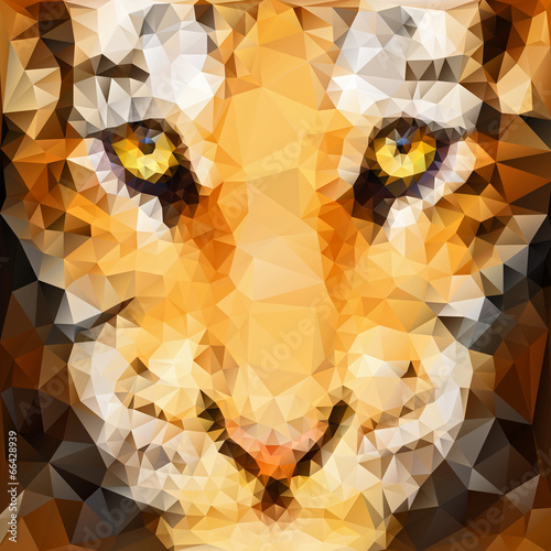 Artwork of tiger cub