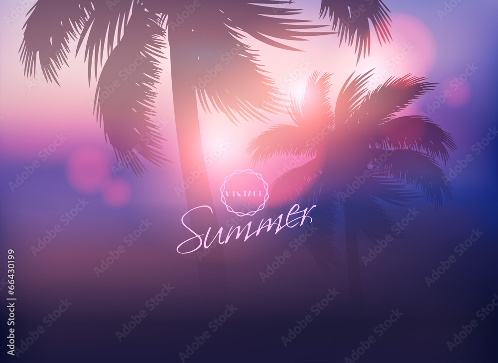 Fototapeta Palm Tree Sunset-Vector Illustration