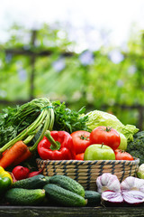 Papier peint photo Légumes Panier osier légumes bio jardin  © monticellllo